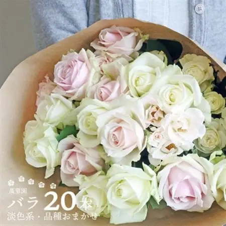 萬華園のバラ　淡色系　約20本【配送不可地域：離島・北海道・沖縄県・中国・四国・九州】【1603010】