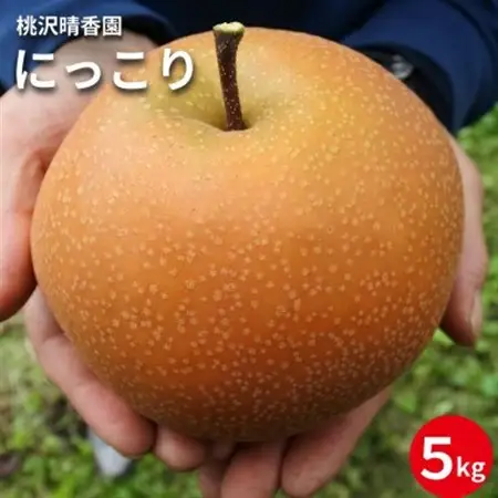 【桃沢晴香園】にっこり梨　約5kg(5～6玉)【配送不可地域：離島・沖縄県】【1606257】
