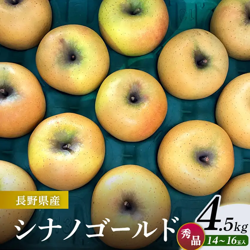 シナノゴールド 4.5kg(秀14～16玉)【1615469】