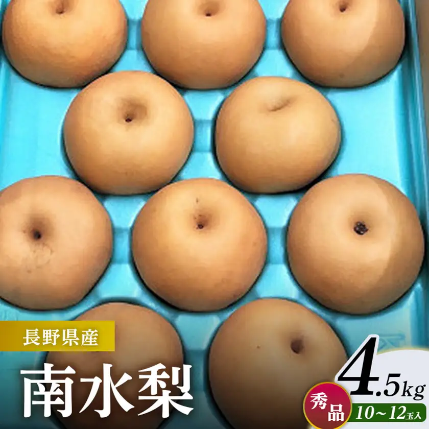南水梨 4.5kg(秀10～12玉)【1615471】