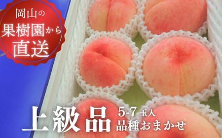 桃 上級品 岡山県産 旬採り桃(品種おまかせ) 5-7玉  【KF-A002-04】