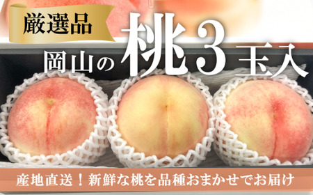 【厳選品】旬の桃(品種おまかせ) 大玉3玉 (岡山県産)  【KF-A016-03】