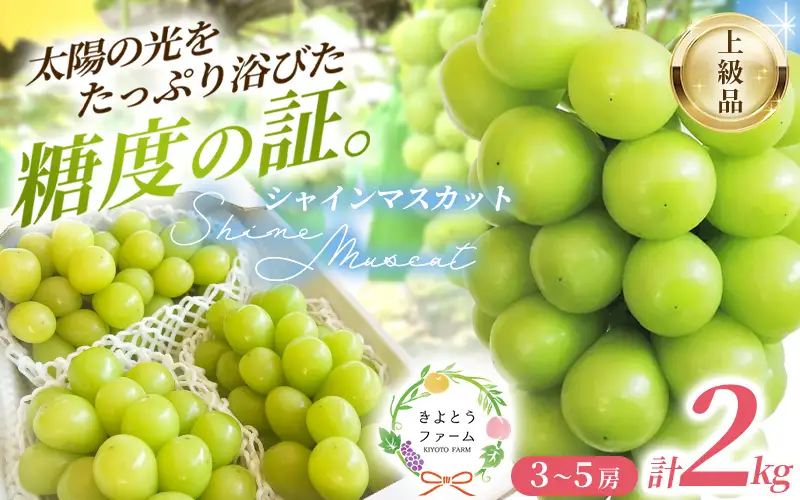 シャインマスカット 3-5房/計2kg～ (岡山県産) きよとう果樹園こだわりのシャイン！【KF-B016-03】