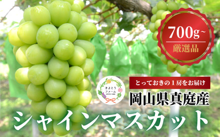 シャインマスカット 岡山県産 大粒シャインマスカット1房700g～ 【KF-B060-03】