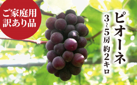 ピオーネ 訳あり 3-5房(約2.0kg~) 岡山県産 先行予約【KF-B068-03】