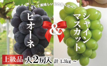 ピオーネ シャインマスカット 岡山県産ぶどう 上級シャインマスカット＆ピオーネ食べ比べ特大2房計1.3kg～ 【KF-B087-02】