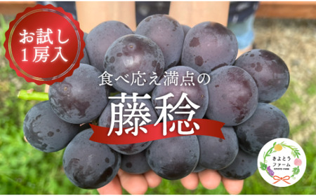 ぶどう 岡山県産 大粒ぶどう藤稔1房600g以上 【KF-B088-03】