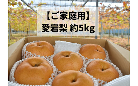 あたご梨 ご家庭用 / 約5kg (岡山県産)  和梨 【KF-C008-03】