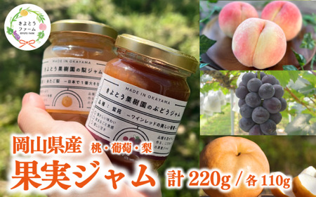 【2026年9月以降順次発送】果樹園こだわりの果実ジャム2種 (岡山県産) 【KF-K002-04】