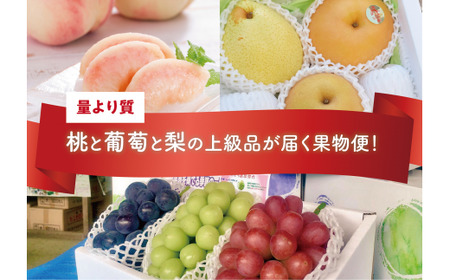 量より質！桃と葡萄と梨の上級品が届く岡山果物便！３回便(定期便) (岡山県産) 【KF-T024-04】
