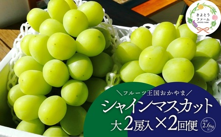 岡山のシャインマスカットを楽しむ満足2回便！特大２房×２回/全便計2.6kg～ (定期便)(岡山県産)【KF-T044-03】