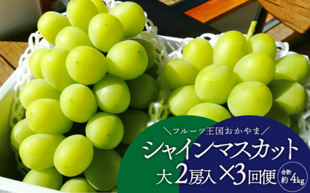 岡山のシャインマスカットを楽しむ満足３回便！特大２房×3回/全便計3.9kg～ (定期便)(岡山県産)【KF-T045-02】