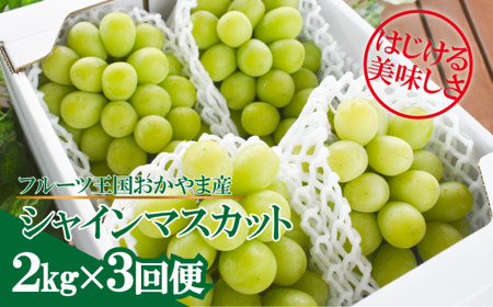 岡山のシャインマスカットを楽しむ満足3回便！3-5房入×3回/全便計6.0kg～ (定期便)(岡山県産)【KF-T047-03】