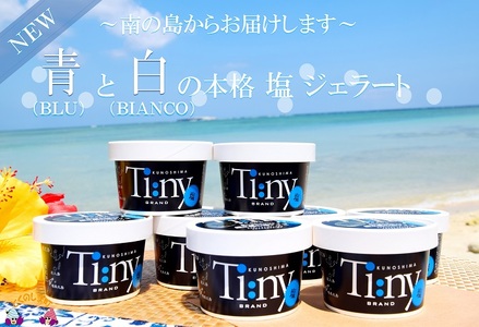 ～南の島からお届けします～青と白の本格塩ジェラートギフト ( ジェラート アイス 12個 塩 ミルク スイーツ 海 徳之島 奄美 鹿児島 美農里館 )