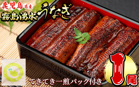 霧島湧水鰻1尾(156g以上)とてきてき一煎1P付きセット 鰻 うなぎ 蒲焼き かばやき うな重 冷凍 鰻重 お茶 緑茶 深蒸茶 深蒸し茶 抹茶 茶葉 ティーバッグ 国産 鹿児島県産 a0-375
