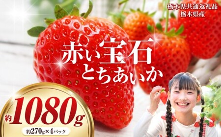 【先行予約】赤い宝石「とちあいか」約270g×4P| 選べる いちご 苺 とちあいか 栃木県 那珂川町 送料無料 デザート ご褒美 美味しい 甘い フルーツ ジューシー 【栃木県共通返礼品】