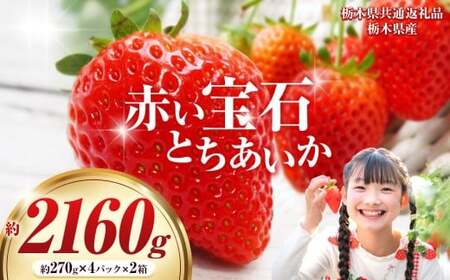 【先行予約】赤い宝石「とちあいか」約270g×4P×2箱| 先行予約 選べる いちご 苺 とちあいか 栃木県 那珂川町 送料無料 デザート ご褒美 美味しい 甘い フルーツ ジューシー 【栃木県共通返礼品】