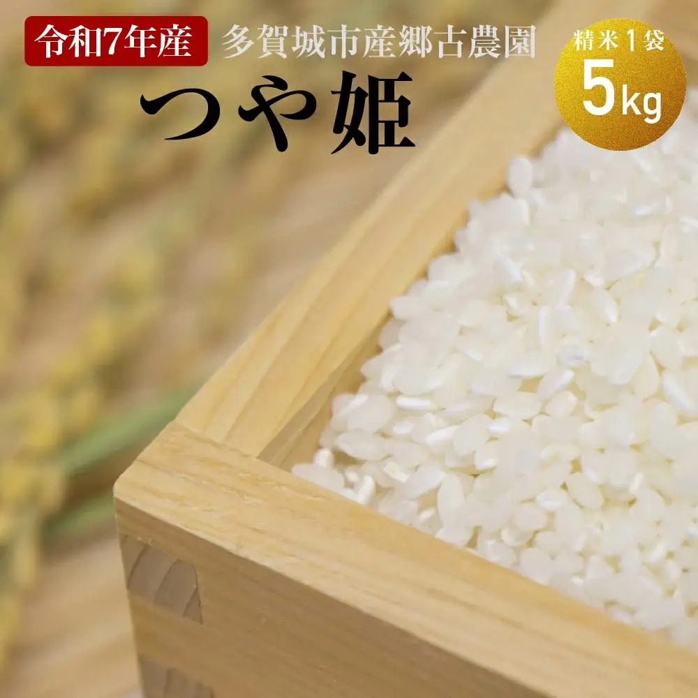 【令和7年産】多賀城市産郷古農園つや姫　精米5kg（5kg×1袋）　【04209-0281】