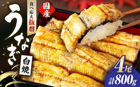  国産活うなぎ4尾（白焼）[AQDF013] 鰻 白焼き 国産 活うなぎ