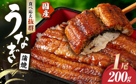 【 蒲焼き 】国産活うなぎ1尾[AQDF006]蒲焼き