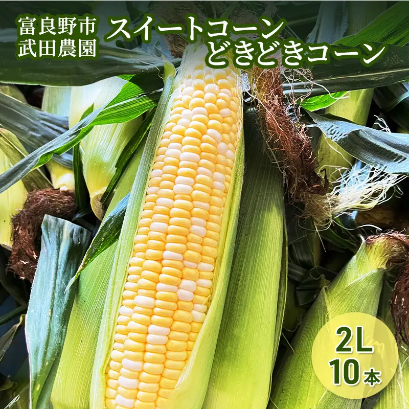 2026年夏発送 ［武田農園とれたて直送］スイートコーン どきどきコーン 2L 10本 北海道 富良野産 とうもろこし 野菜 新鮮 とうきび 甘い 産地直送 先行予約 限定