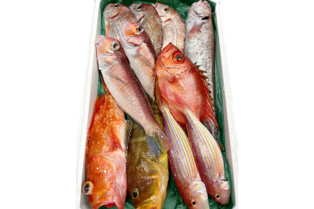 旬の鮮魚ＢＯＸお任せセット（竹）【鮮魚 約5kg 冷蔵 旬 魚 さかな 天然 天然魚 新鮮 地魚 産地直送 水揚げ次第発送 おまかせ セット 詰め合わせ お取り寄せ 大田市 和江漁港】