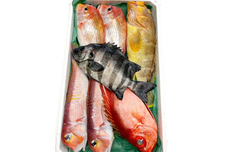 旬の鮮魚ＢＯＸお任せセット（松）【鮮魚 約5kg 冷蔵 旬 魚 さかな 天然 天然魚 新鮮 地魚 産地直送 水揚げ次第発送 おまかせ セット 詰め合わせ お取り寄せ 大田市 和江漁港】