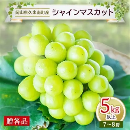 〈2026年発送〉岡山名産【晴王】シャインマスカット5kg以上(7～8房)【贈答品】久米南町産【配送不可地域：離島・北海道・沖縄県】【1016882】