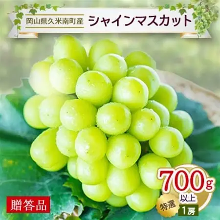 〈2026年発送〉岡山名産【晴王】シャインマスカット「特選」700g以上(1房)【贈答用】久米南町産【配送不可地域：離島・北海道・沖縄県】【1040064】