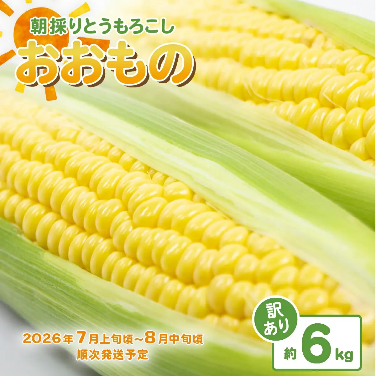 とうもろこし 訳あり おおもの 約6kg 先行予約 トウモロコシ