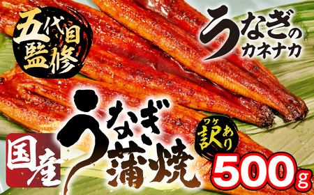 国産うなぎ蒲焼 500g 豊橋 うなぎ