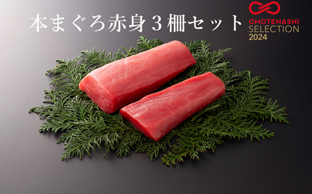 本まぐろ赤身３柵セット 【マグロマグロ】
