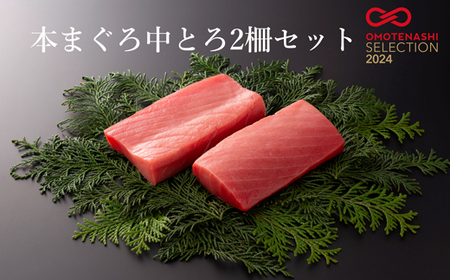 本まぐろ中とろ２柵セット 【マグロマグロ】