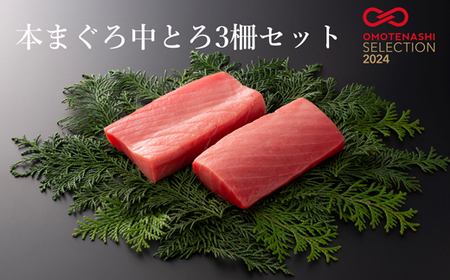 本まぐろ中とろ３柵セット 【マグロマグロ】