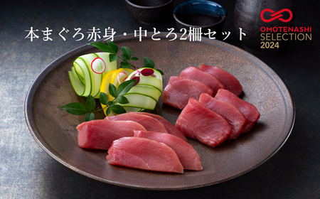 本まぐろ赤身・中とろ２柵セット 【マグロマグロ】