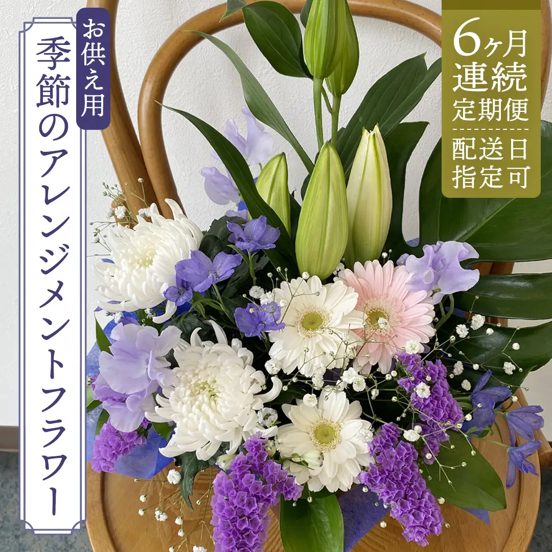【配送日指定可】【 定期便 /6ヶ月連続】季節の お供え用 アレンジメントフラワー 仏花 お盆 お供え お悔やみ 仏事 法事 命日 お盆 秋彼岸 春彼岸 正月 生花 [CY011sa]	
