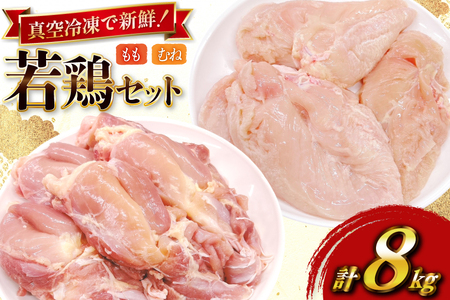鶏肉 セット 宮崎県産 若鶏 もも身 むね身 各 1kg 4p 計8kg セット [TRINITY 宮崎県 日向市 452061338]