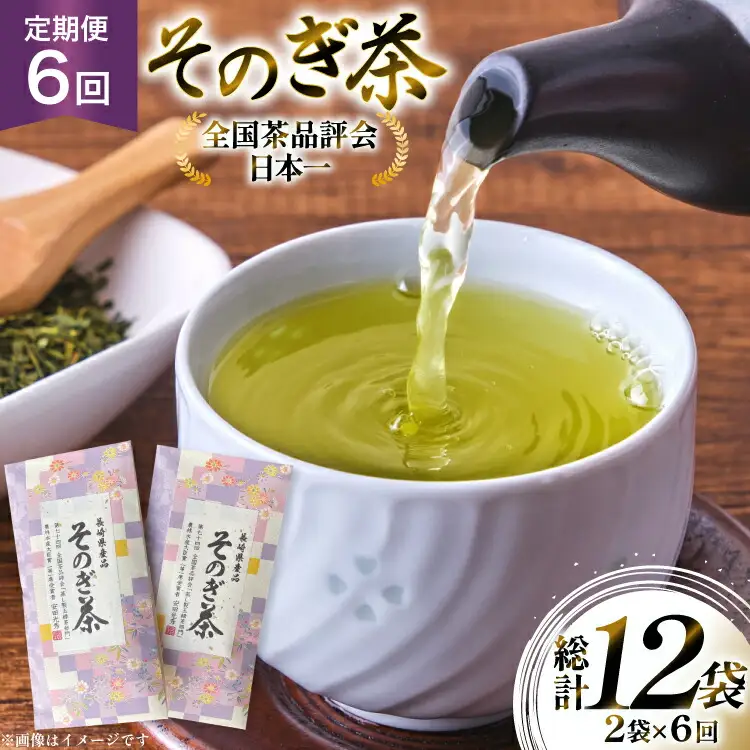茶 お茶 緑茶 定期便 毎月 そのぎ茶 100g 2袋 6回 総計12袋 [月香園製茶 長崎県 東彼杵町 hs42bag260015]