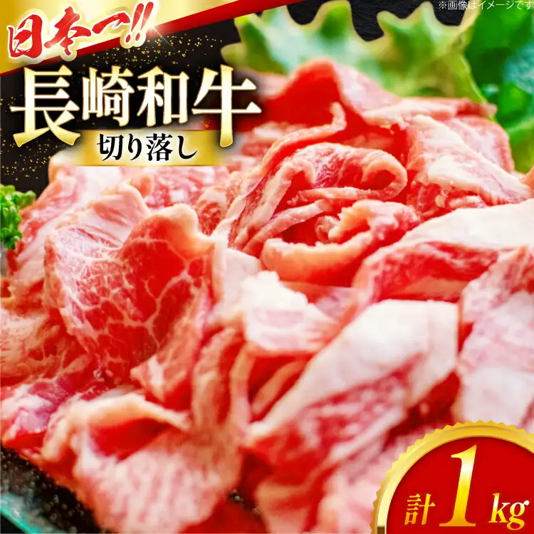 牛肉 切り落とし 長崎和牛 切り落し 1kg [大川ストアー 長崎県 東彼杵町 hs42bag580003]