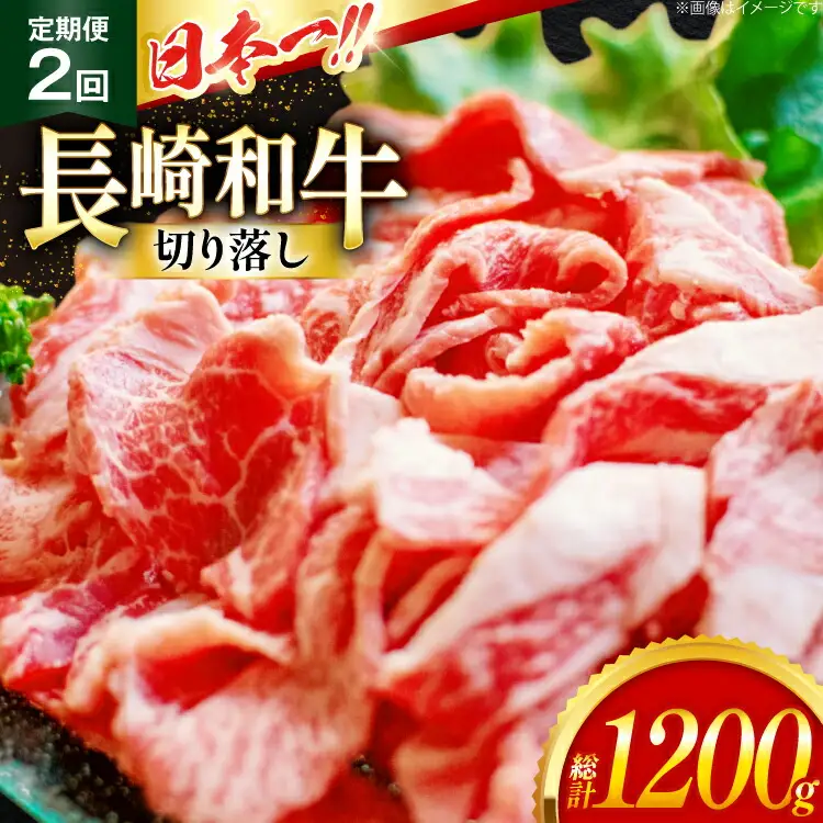 牛肉 切り落とし 定期便 長崎和牛 切り落し600g 2回 総計1200g [大川ストアー 長崎県 東彼杵町 hs42bag580011]