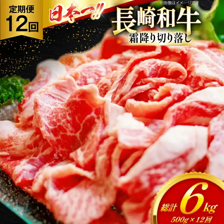 和牛 切り落とし 霜降り肉 定期便 長崎和牛 切り落し 500g 12回 総計6kg [大川ストアー 長崎県 東彼杵町 hs42bag580074]