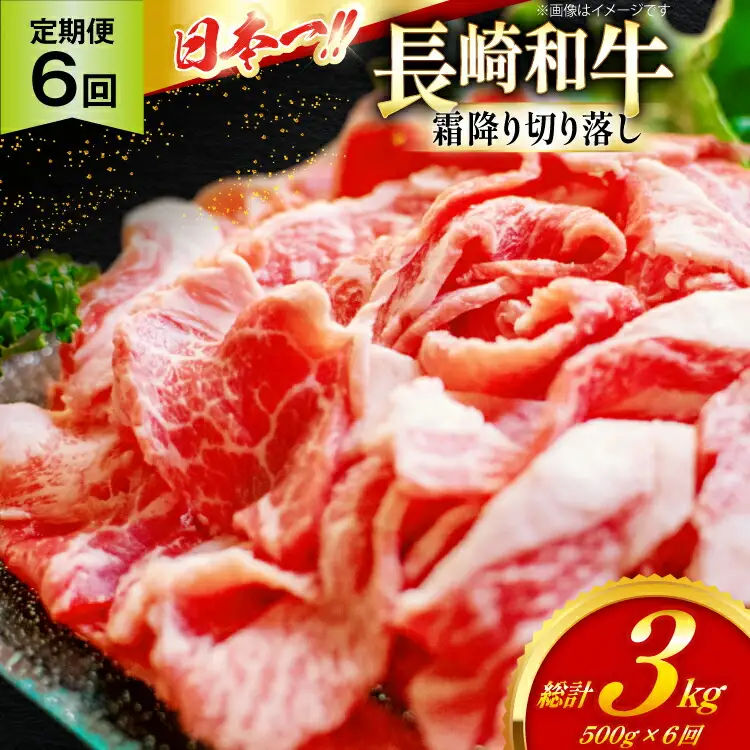 和牛 切り落とし 霜降り肉 定期便 長崎和牛 切り落し 500g 6回 総計3kg [大川ストアー 長崎県 東彼杵町 hs42bag580075]