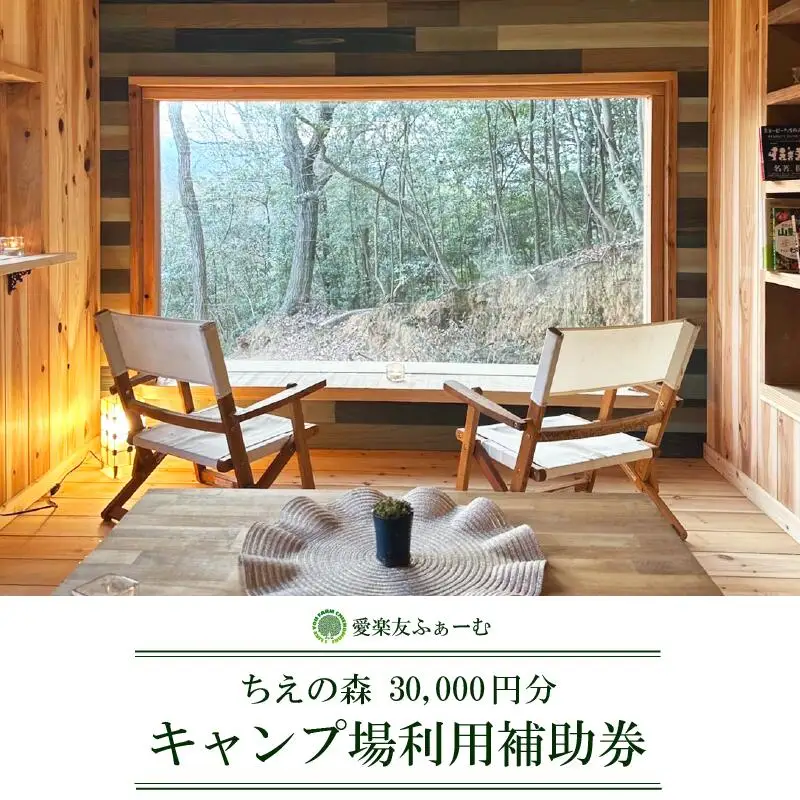 キャンプ場 利用券 30000円分 宿泊券 徳島 観光 旅行 チケット