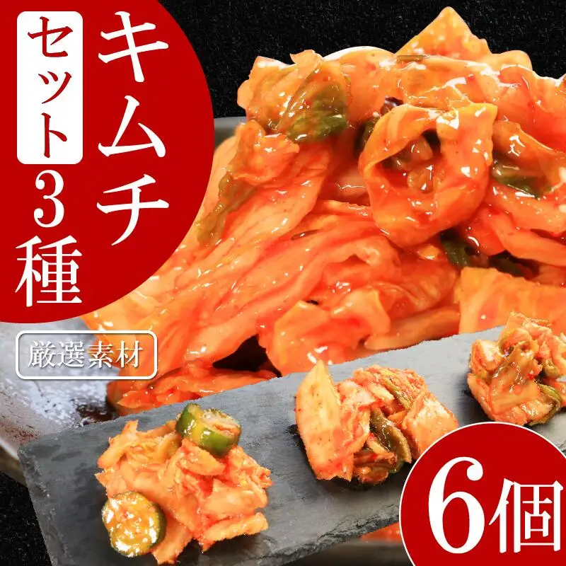 キムチ 3種 セット 計6個 本格キムチ カッパキムチ 白菜キムチ きゅうり