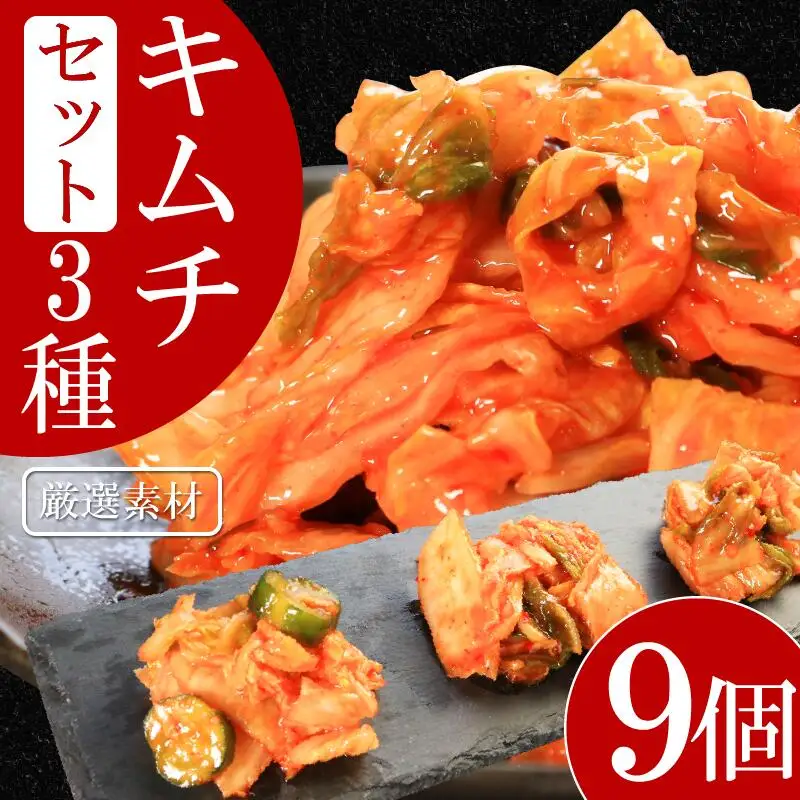 キムチ 3種 セット 各3個ずつ 計9個 本格キムチ カッパキムチ 白菜キムチ 
