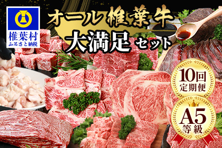 【 定期便 全10回 】 10ヶ月連続でお届け！ 牛肉 オール椎葉牛大満足セット 総重量 5,180g 【 日本三大秘境 椎葉村 育ちの黒毛和牛 】 牛肉 ステーキ 精肉 ホルモン モモ肉 ヒレ肉 定期便 肉 スライス肉 サーロイン A5等級指定 黒毛和牛 A5ランク TK-105