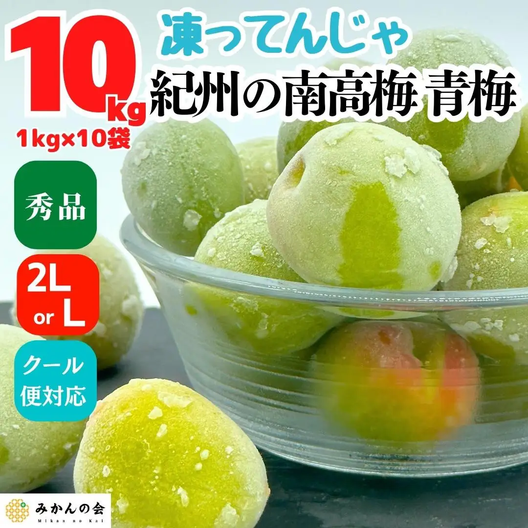 【2026年7月上旬～出荷予定】梅 冷凍 青梅 南高梅 10kg ( 1kg × 10袋) 秀品 2L or Lサイズ 和歌山県産 紀州有田 【みかんの会】