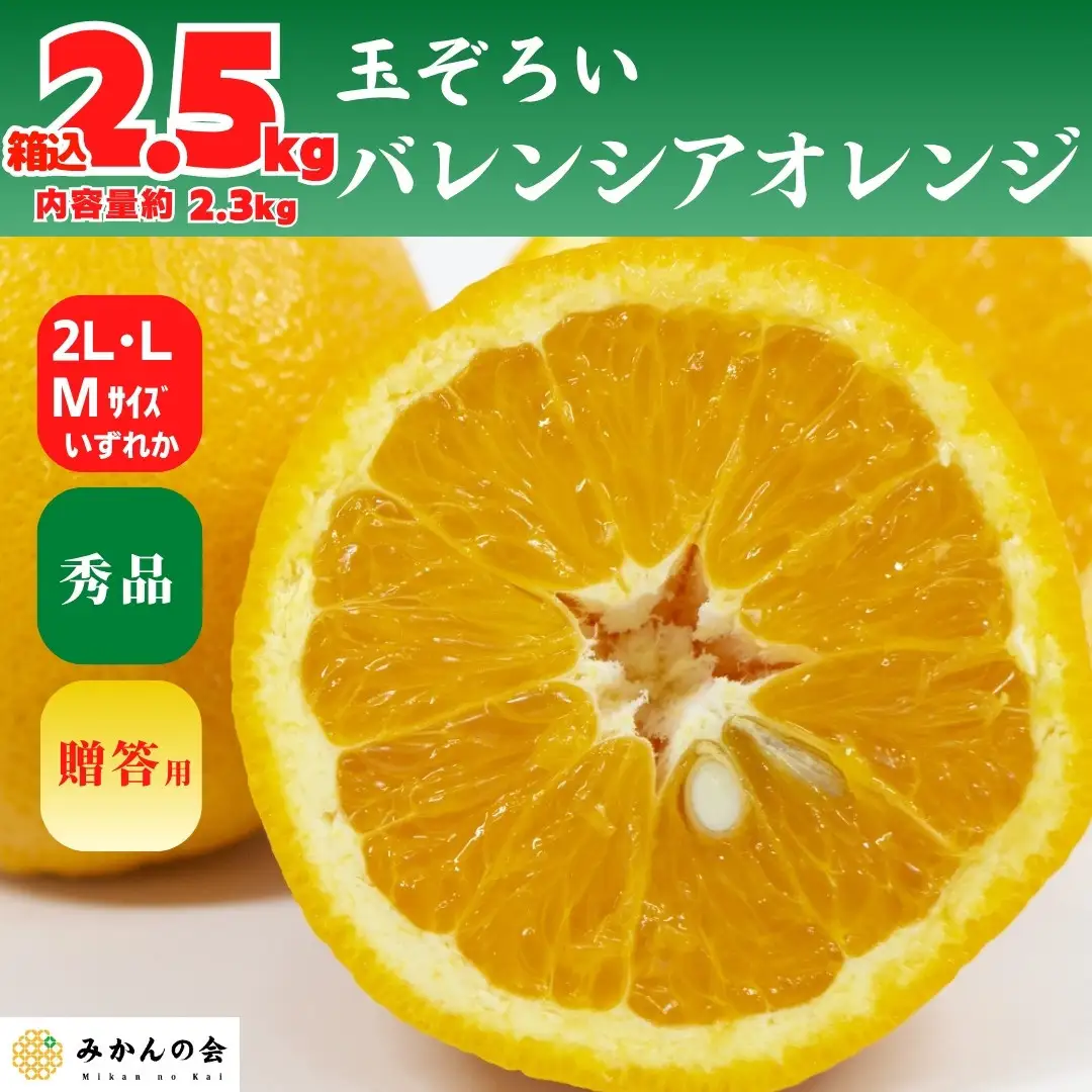 バレンシアオレンジ 国産 玉ぞろい 秀品 箱込 2.5kg (内容量 2.3kg ) 2L L M サイズのいずれか 和歌山県産 産地直送【みかんの会】
