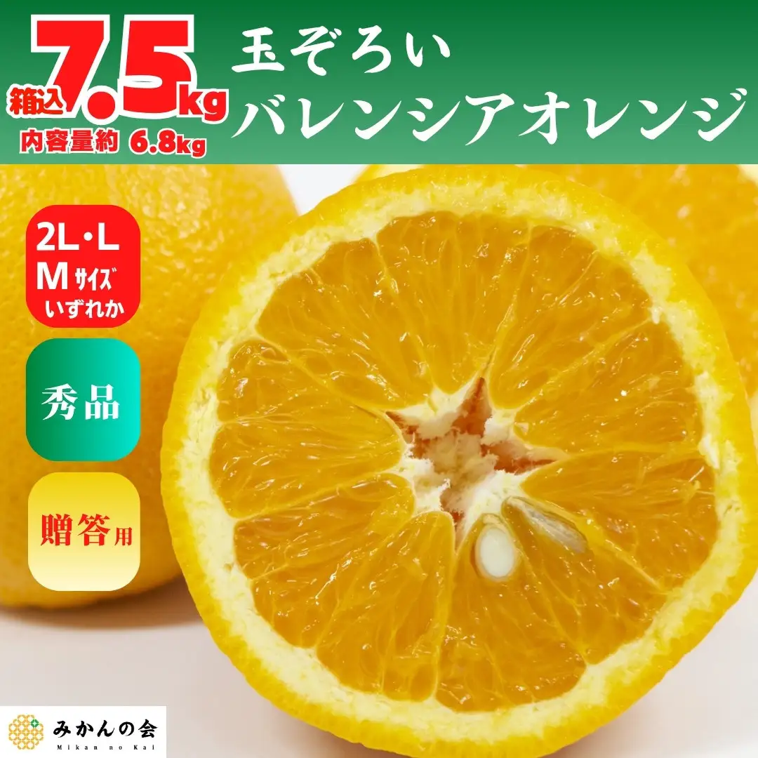 バレンシアオレンジ 国産 玉ぞろい 秀品 箱込 7.5kg (内容量 6.8kg ) 2L L M サイズのいずれか 和歌山県産 産地直送【みかんの会】