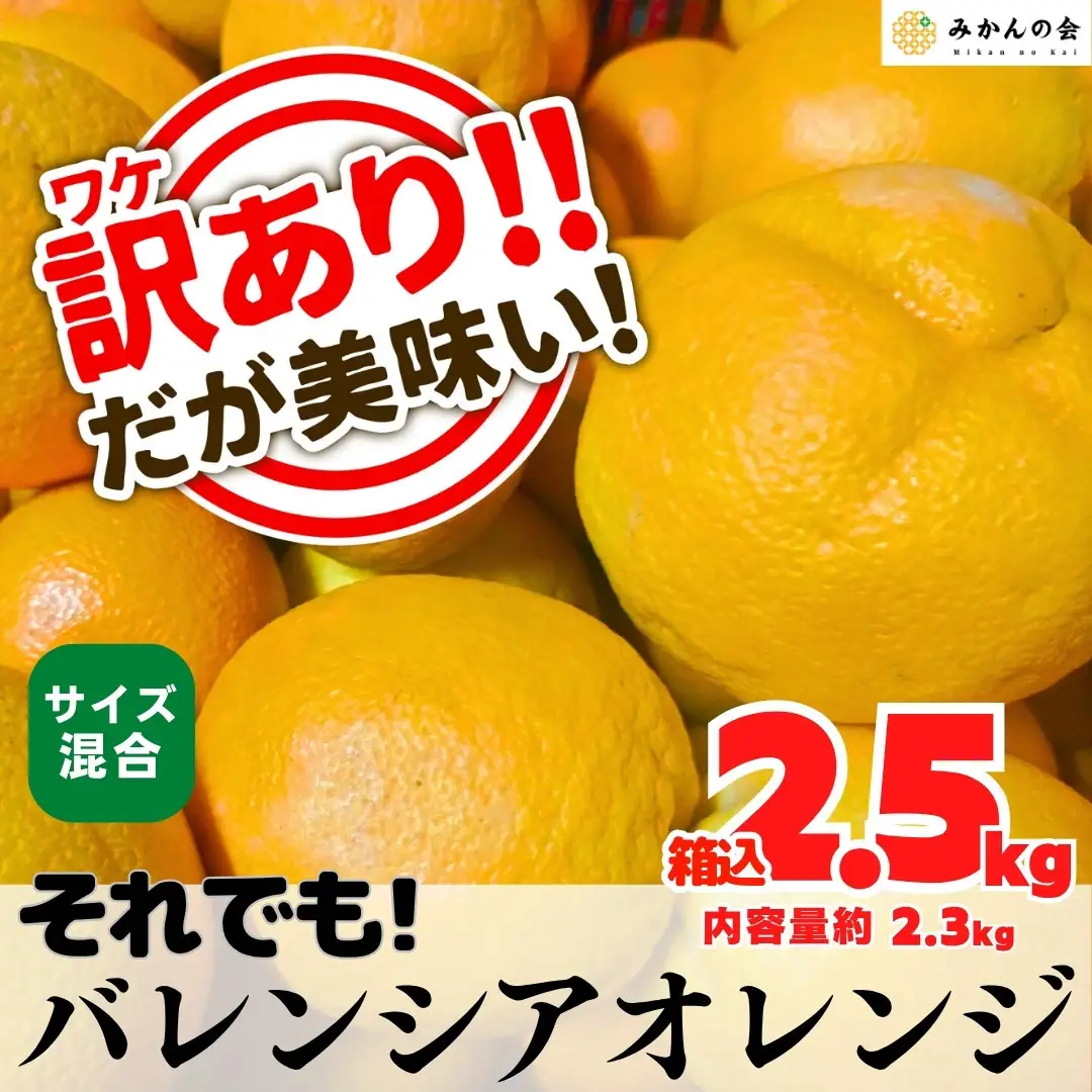 訳あり バレンシアオレンジ  国産 箱込 2.5kg (内容量 2.3kg ) サイズミックス 和歌山県産 産地直送 みかんの会